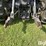 2001-new-holland-tn70-image-18