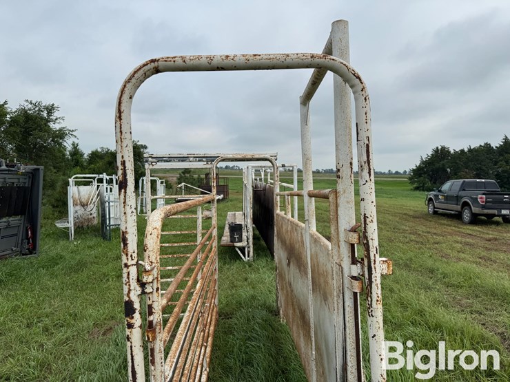 cattle-alleyway-image-18