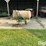 3-point-sprayer-image-2