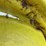john-deere-h-image-32