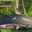 john-deere-gpwt-image-12