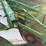 john-deere-145-image-3