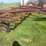massey-ferguson-14-image-33