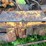 minneapolis-moline-gb-image-66