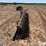 john-deere-rotary-hoe-image-8
