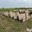 concrete-feed-bunks-image-3