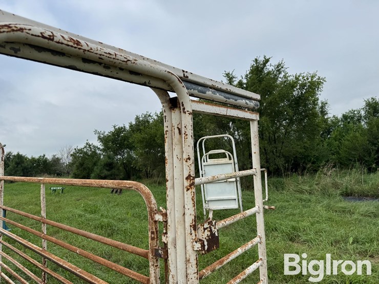 cattle-alleyway-image-12
