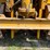 caterpillar-sixty-image-72