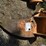 ripper-ripper-shank-44100-image-1