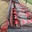 case-ih-1063-image-8