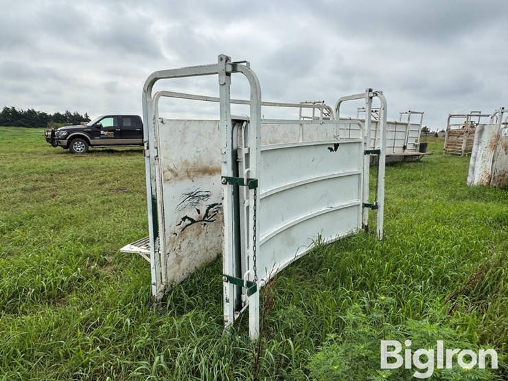 cattle-alleyway-turn-image-7