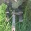 john-deere-h-image-36