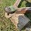 john-deere-540-image-11