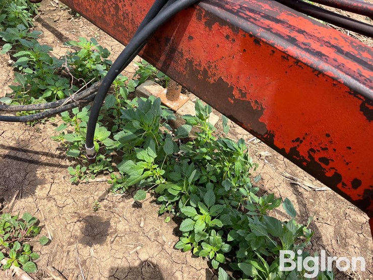 white-plow-image-12