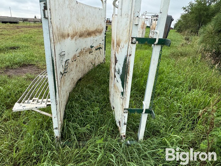 cattle-alleyway-turn-image-10