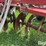case-ih-496-image-12