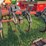earthmaster-1465-image-11