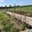 gates-&-panels-image-4