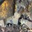 minneapolis-moline-gb-image-44