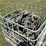 case-ih-1200-image-1