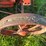 allis-chalmers-20-35-image-11