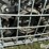 case-ih-1200-image-12