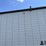 2016-wilson-dwh-image-16