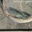john-deere-4020-image-10