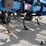 dmi-tiger-image-14
