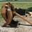 grapple,-other-grapple-mechanical-44099-image-1