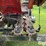 2012-geringhoff-rd-800b-image-10
