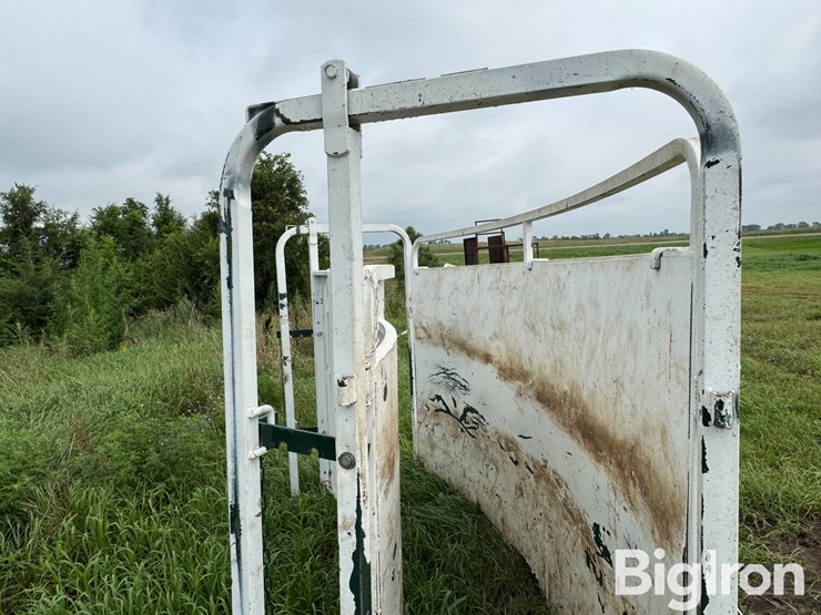 cattle-alleyway-turn-image-18