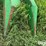 john-deere-3r30-silage-head-image-9