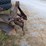 dearborn-10-156-image-3