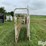 cattle-alleyway-image-4