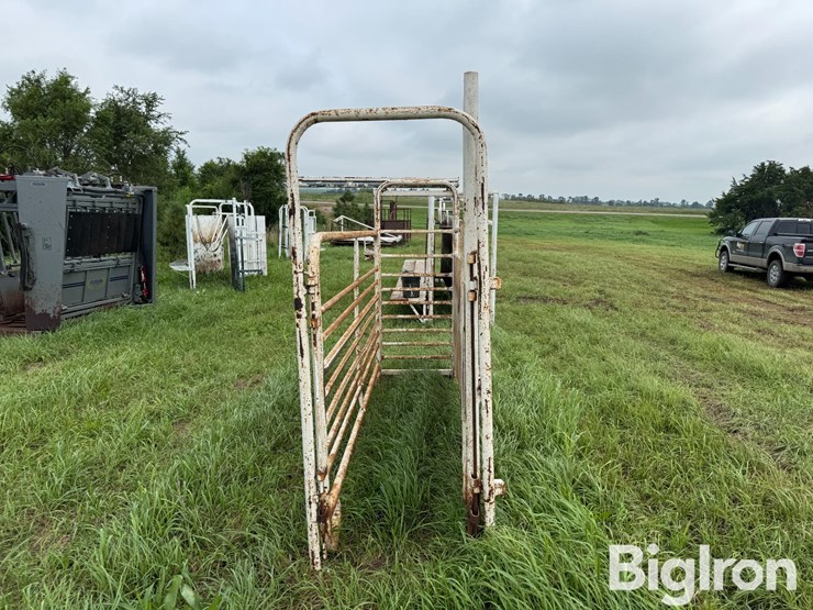 cattle-alleyway-image-4