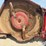 bush-hog-12715l-image-9