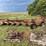 white-6-bottom-plow-image-8