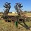 john-deere-960-image-8