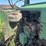 john-deere-70-image-25
