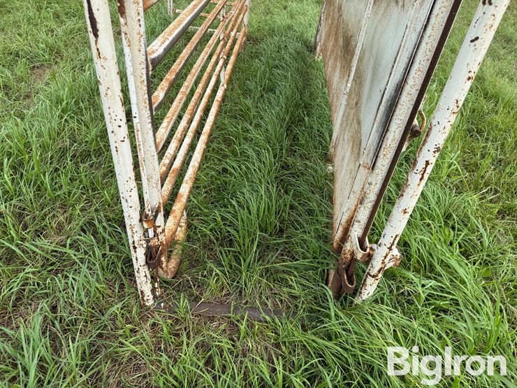 cattle-alleyway-image-19