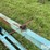 3-pt-double-bale-spear-image-14
