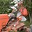 allis-chalmers-c-image-14
