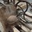 various-cast-iron-parts-mounted-to-wood-image-13