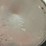 collection-of-dairy-items-image-9