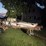 spra-coupe-103-image-3