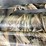 #4620-•-stoeger-m3500-12-ga.-semi-auto-shotgun,-sn:-75-h22yt-023874-image-7