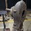 blacksmith-forge-blowers,-forge,-&-branding-iron-free-air-image-5