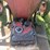 ford-2n-image-45