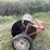harmon,-canola-roller-image-3